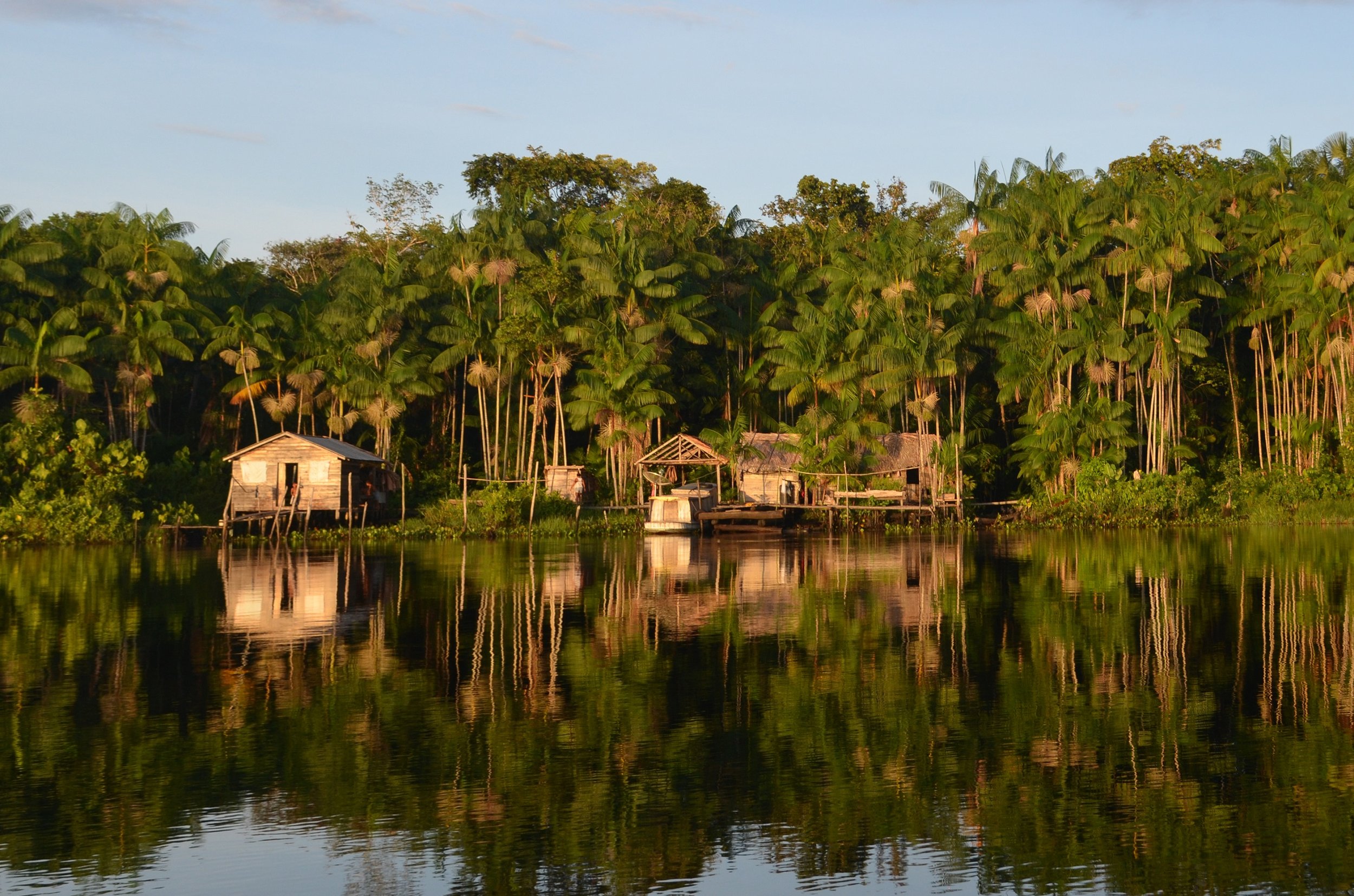 Instituto Floresta Tropical